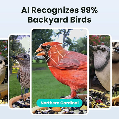 Birdfy Bird Feeder with Camera for Rookie - Solar Powered Outdoor Bird Feeder with Dual Night Vision, AI Recognition, Slow Motion & IP66 Waterproof, Ideal for BirdLovers (Lifetime Free AI)