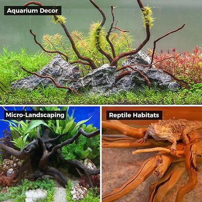 FISCAPE Aquarium Rocks & Driftwood Decor Kit, 2-8 Inches Natural Seiryu Stone 4 PCS for Aquascaping, 6-10 Inches Natural Driftwood 2 PCS for Fish Tank Decoration, Reptile and Amphibian Enclosures