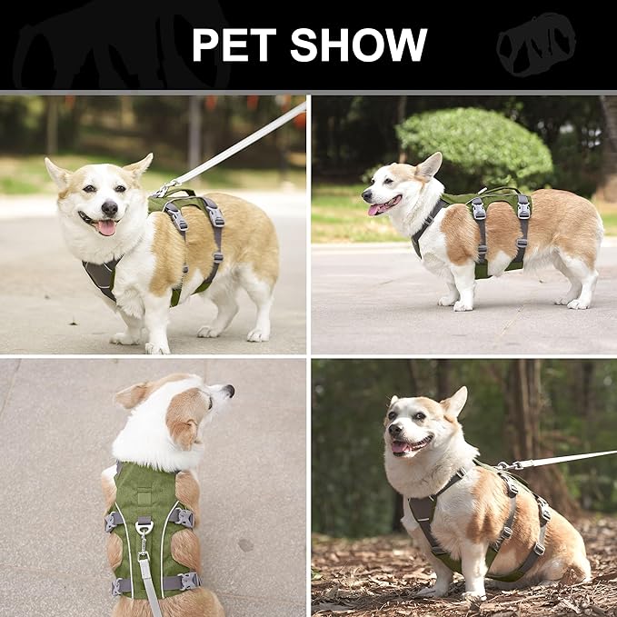Escape Proof Dog Harness Small Sized Dog, Reflective No Pull Dog Vest with Handle, Lightweight Full Body Pet Harness Adjustable for Walking,Training(Green,Chest:16-27")