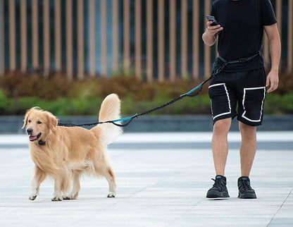 iYoShop Retractable Hands Free Dog Leash - Dual Handle Bungee Waist Leash for Small, Medium and Large Dogs (Small, 8-25 lbs, Black)