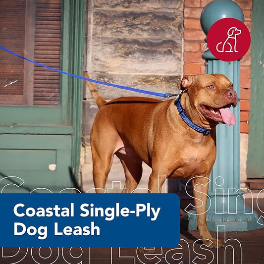 Coastal Pet Single-Ply Dog Leash - Sturdy Pet Leash - Comfortable & Stylish - Resists Fraying - Vibrant & Fade-Resistant Color - Teal, 3/8" x 6'