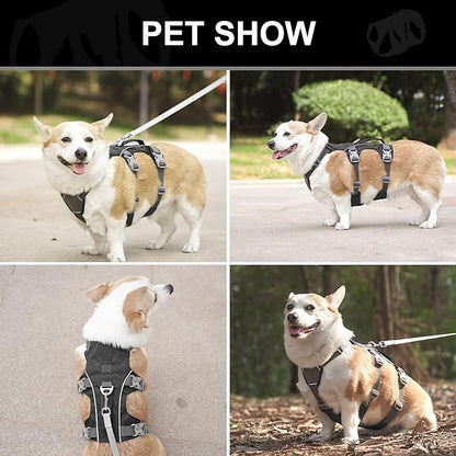 Escape Proof Dog Harness with Handle - Reflective No Pull Dog Vest, Lightweight Full Body Pet Harness Adjustable for Small Dogs Walking,Training(Black,Chest:14-22")