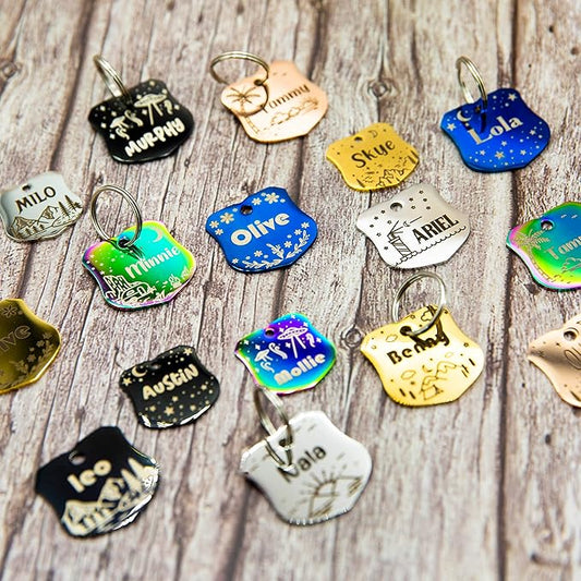 Personalized Dog Tag with 5 Lines of Custom Deep Engraved Durable Stainless Steel Pet ID Name Tag Designer Regular Size Badge