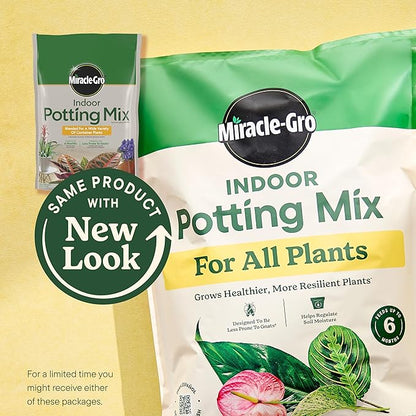 Miracle-Gro Indoor Potting Mix, Blended for a Variety of Houseplants, Feeds for up to 6 Months, 6 qt., 2-Pack