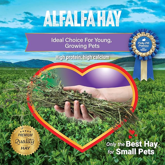 Small Pet Select Alfalfa Hay Pet Food, 20 LB