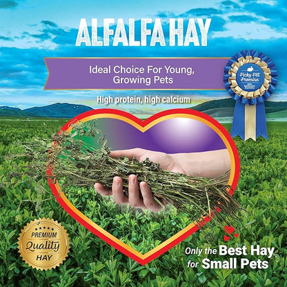 Small Pet Select Alfalfa Hay Pet Food, 20 LB
