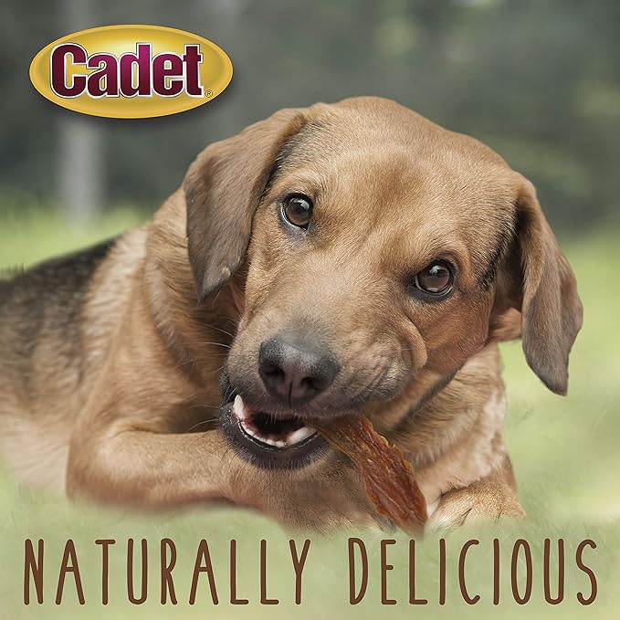 Cadet Gourmet Duck Breast Jerky Dog Treats, Healthy, Long-Lasting High-Protein Training Treats for Small & Large Dogs, 14 oz.