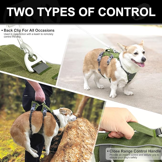 Escape Proof Dog Harness Small Sized Dog, Reflective No Pull Dog Vest with Handle, Lightweight Full Body Pet Harness Adjustable for Walking,Training(Green,Chest:16-27")