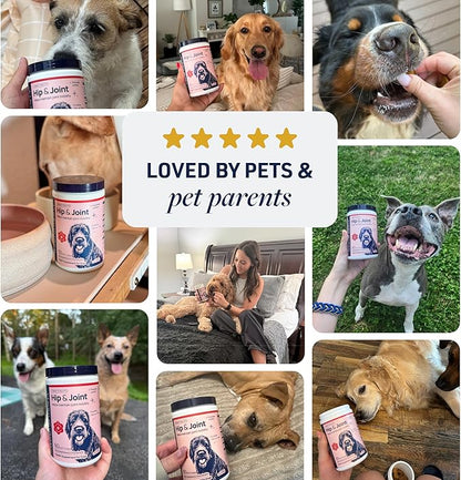 Veterinary Formula Smart Vitality Hip & Joint Supplement for Dogs with Glucosamine – Dog Joint Support, Dog Supplements for Mobility & Flexibility, 60ct