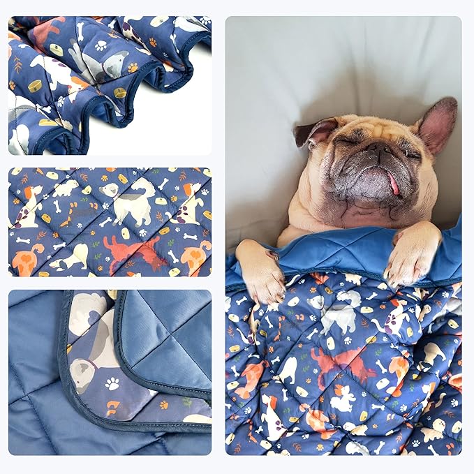 wegreeco Pet Dog Cooling Mat for Cats, Lightweight Bed Outdoor Cooling Blanket for Dogs and Cats, Small Medium Large Puppy Cool Pad for Dogs, Cute XLarge