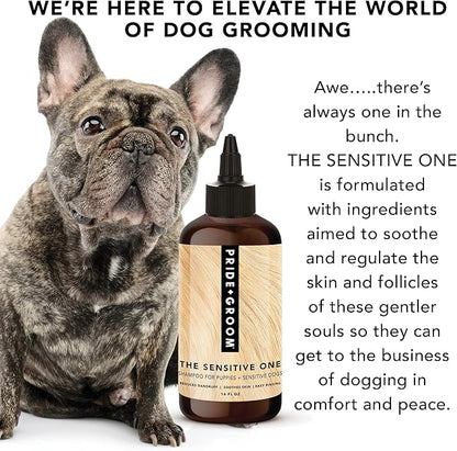 Pride and Groom The Sensitive One | Dog Grooming Shampoo for Puppies and Dogs with Itchy, Dry Skin| Tearless All Natural Body Wash with Essential Oils to Soothe Skin – 16oz (Pack of 2)
