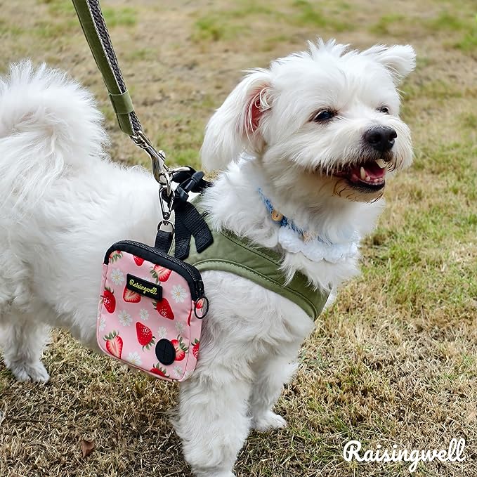 Dog Treat Pouch for Pet Walking and Training with Clicker Poop Bags Small Fanny Zipper Pack Holder for Puppy Snack Dispenser Kit for Leash and Outdoor Use (Strawberry)