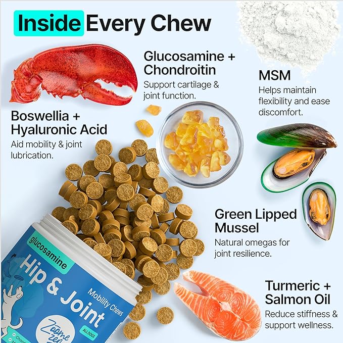 Hip and Joint Supplement for Dogs – Glucosamine for Dogs, Dog Joint Supplement, Mobility, Flexibility & Comfort, Chews with Glucosamine Chondroitin Msm & Omega3, 1 Pack,170 Chews,Made in USA