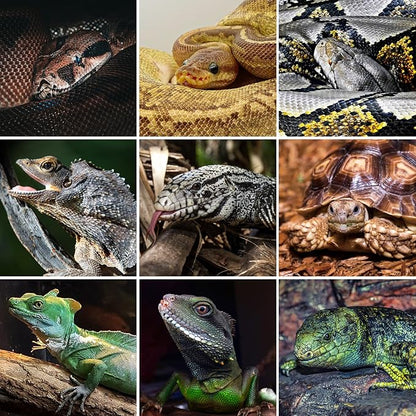 REPTI ZOO 120 Gallon PVC Reptile Tank Terrarium, 48x24x24 Reptile Terrarium for Ball Python Snake Bearded Dragon Gecko, Large Reptile Glass Tank with Sliding Door & Screen Ventilation