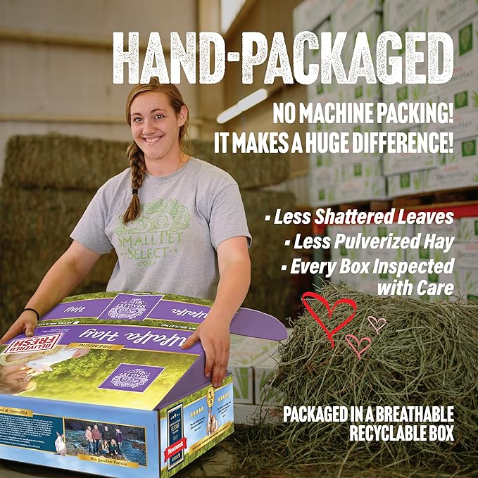 Small Pet Select Alfalfa Hay Pet Food, 20 LB