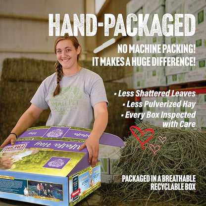 Small Pet Select Alfalfa Hay Pet Food, 20 LB