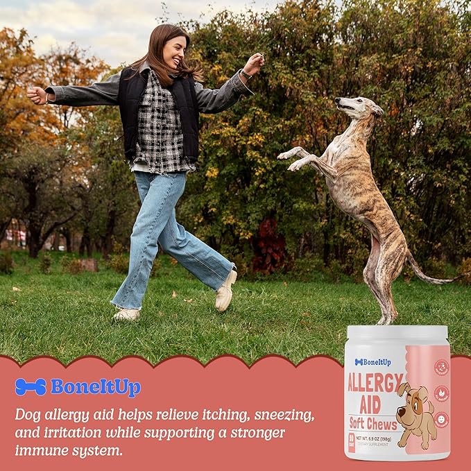 BoneItUp Soft Dog Allergy Chews for Itching, Sneezing, Paw Licking, Seasonal Allergies - Essential Omega-3, Turmeric & Quercetin for Dogs Allergies - Daily Immune & Digestive Dog Allergy Treats (90ct)