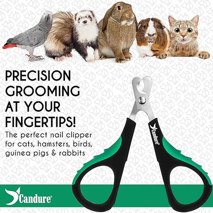 Candure Cat Nail Clippers for Cats, Rabbits, Hamsters, Birds - Stainless Steel Trimmer with Precise Angled Edges for Easy & Safe At-Home Grooming