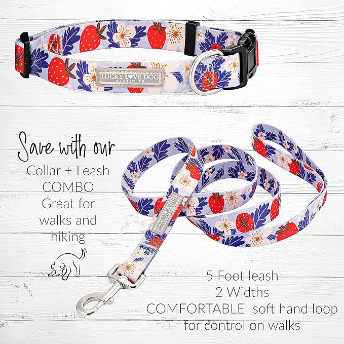 Lucky Love Dog - Easy Click Buckle Dog Collar with Leash Set Combo, Durable & Comfortable for Male & Female Dogs, Pet Collar for Small to Large Dogs, Secure Fit - Sweet Berry Combo, XS