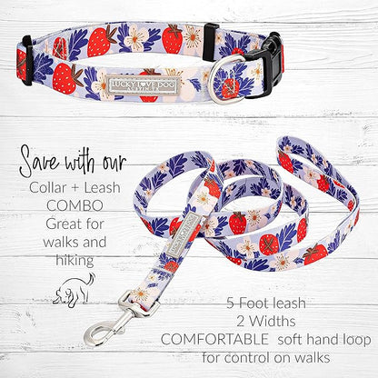 Lucky Love Dog - Easy Click Buckle Dog Collar with Leash Set Combo, Durable & Comfortable for Male & Female Dogs, Pet Collar for Small to Large Dogs, Secure Fit - Sweet Berry Combo, XS