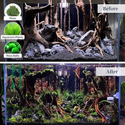 majoywoo Natural Large Driftwood for Aquarium Decor Reptile Decor 13-17" Long, Over 1.3 lbs