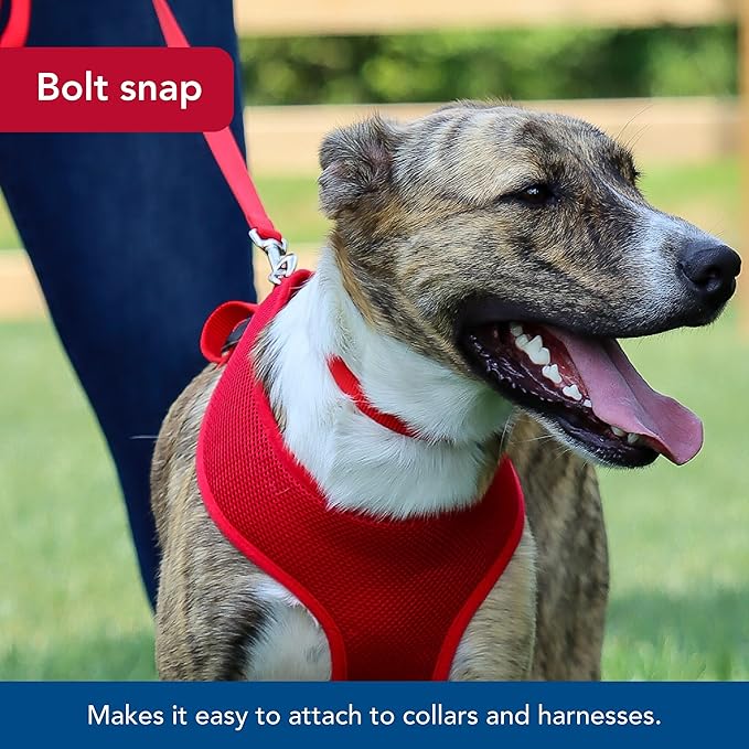 Coastal Pet Single-Ply Dog Leash - Sturdy Pet Leash - Comfortable & Stylish - Resists Fraying - Vibrant & Fade-Resistant Color - Orchid, 3/8" x 6'