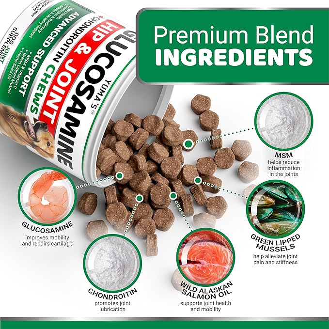 (2 Pack) Glucosamine for Dogs - Hip and Joint Supplement for Dogs - Glucosamine Chondroitin Chews - Joint Pain Relief Supplement with MSM - Advanced Health - Mobility Support - Made in USA