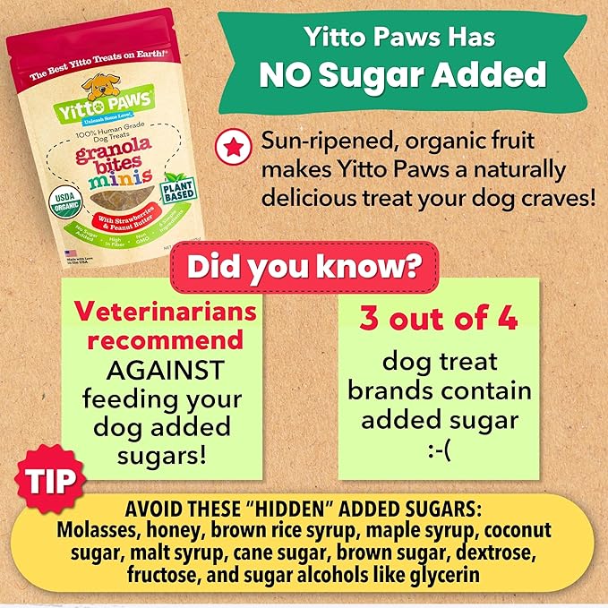 Mini Organic Dog Training Treats – Crunchy, Low Calorie Dog Biscuits – Strawberry & Peanut Butter – Vegan, Human-Grade, No Sugar Added, Made in USA for Small Dogs & Puppies, 3-Pack (24 oz)