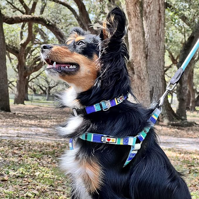Pawtitas Pet Soft Adjustable Solid Color Nylon Puppy/Dog Collar can be Personalized Large Red/White/Blue