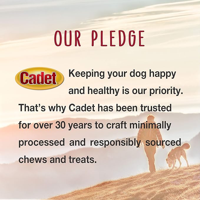 Cadet Gourmet Duck Breast Jerky Dog Treats, Healthy, Long-Lasting High-Protein Training Treats for Small & Large Dogs, 40 oz.