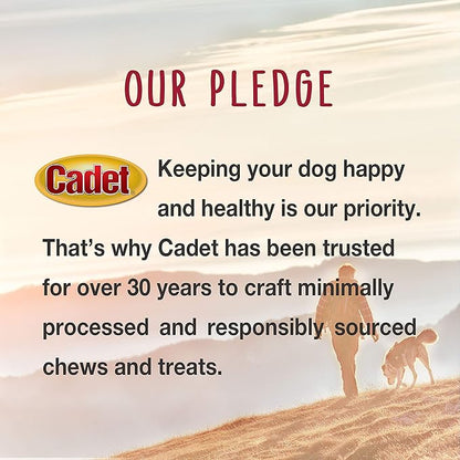Cadet Gourmet Duck Breast Jerky Dog Treats, Healthy, Long-Lasting High-Protein Training Treats for Small & Large Dogs, 40 oz.