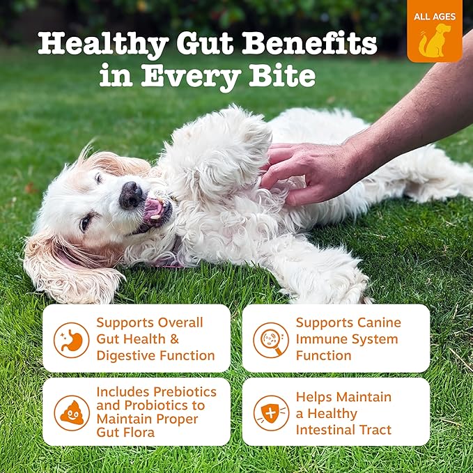 Zesty Paws Probiotics for Dogs - Digestive Enzymes for Gut Flora, Digestive Health, Diarrhea & Bowel Support - Clinically Studied DE111 - Dog Supplement for Pet Immune System – Pumpkin – Pack of 2