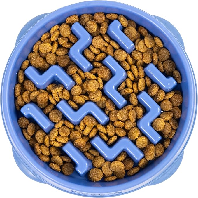 Outward Hound Medium Slow Feeder Bowl, Puzzle Maze for Fast Eaters, Small to Medium Dogs, Helps Prevent Bloat & Aid Digestion, Holds 2 Cups Wet or Dry Food, Non-Slip, Made Without BPA, Blue