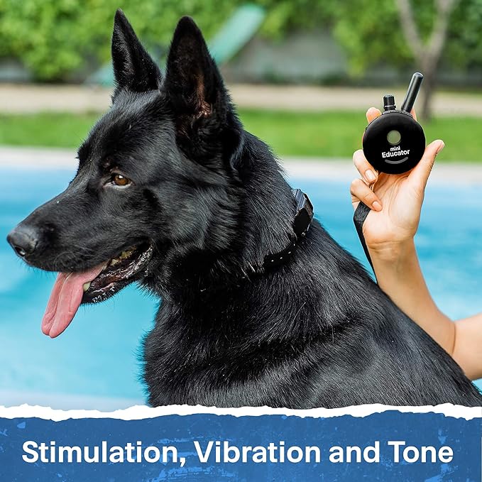 Educator ET-300 Black Mini E Collar for Dog Training with Remote - 1/2 Mile Range, Waterproof, 100 Blunt Stimulation Levels, Tone or Vibration Mode, Night Light Tracking for Small, Medium & Large Dogs