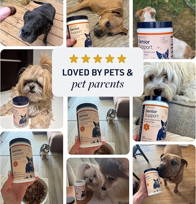 Veterinary Formula Smart Vitality Senior Support Dog Supplements 60ct – Senior Dog Vitamins to Help Promote Mobility, Hip & Joint, Immune Health – Dog Multivitamin with Glucosamine and Chondroitin