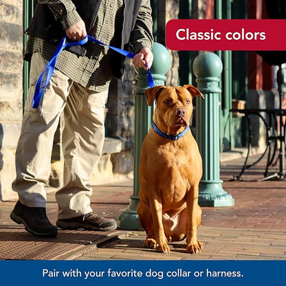 Coastal Pet Single-Ply Dog Leash - Sturdy Pet Leash - Comfortable & Stylish - Resists Fraying - Vibrant & Fade-Resistant Color - Teal, 3/8" x 6'