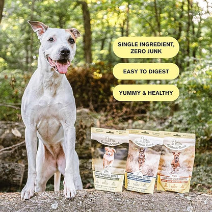 BADLANDS RANCH - Superfood Bite, Freeze-Dried Raw Dog Treats - Protein Rich, Train & Reward, Traceable Single Ingredient by Katherine Heigl (Chicken Breast)