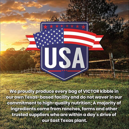 VICTOR Super Premium Dog Food — Sensitive Skin and Stomach — Salmon Meal & Brown Rice Recipe Dry Kibble — Gluten Free, No Chicken, Ideal for Dogs with Allergies — Adult and Puppy Food, 30 lb