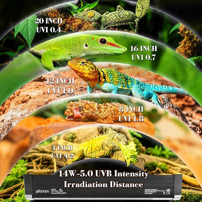 NEPTONION T5 Reptile UVB Light 22.7 Inches Fixture with UVB 5.0 Bulb High Output Hood for Terrariums, Basking Reptiles, Lizards, Chameleons, Iguanas, Bearded Dragons, 14W