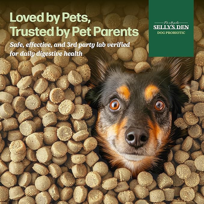 Selly’s Den Probiotics for Dogs Chicken Flavor Chew Supplement 6 Strain Blend Digestive & Immune Support Soft Chews with Enzymes, Prebiotics & Probiotics – Made in USA - 90 Count, 6.5 Oz