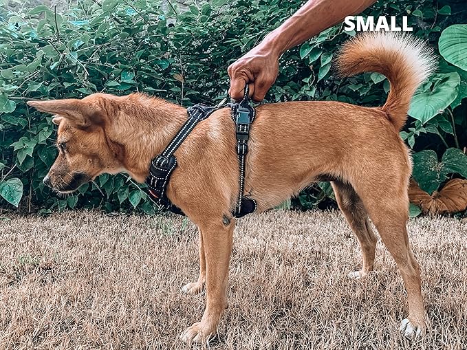 Tuff Pupper No Pull Easy Walk Dog Harness | Heavy Duty Pet Vest | Front & Back Leash Clips | Strong Safety Handle | Reflective Anti Pull Vest | Comfortable Padded Escape Proof Harness (Small, Black)