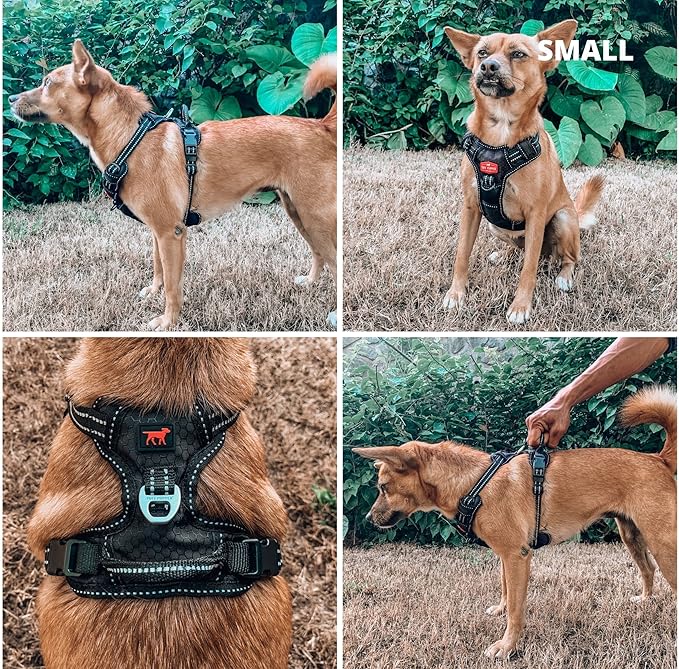 Tuff Pupper No Pull Easy Walk Dog Harness | Heavy Duty Pet Vest | Front & Back Leash Clips | Strong Safety Handle | Reflective Anti Pull Vest | Comfortable Padded Escape Proof Harness (Small, Black)