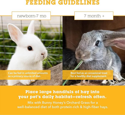 Bunny Honey Organic Alfalfa Hay for Young Rabbits, Guinea Pigs & Small Pets High - Protein & Calcium, Supports Growth & Dental Health, Fresh & Nutritious