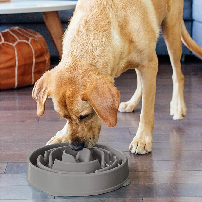 Outward Hound Large Slow Feeder Bowl, Puzzle Maze for Fast Eaters, Medium to Large Dogs, Helps Prevent Bloat & Aid Digestion, Holds 4 Cups Wet or Dry Food, Non-Slip, Made Without BPA, Gray