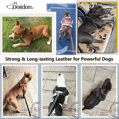 Leather Dog Harness with Padded Chest Plate – Adjustable Genuine Leather H-Style Walking Harness with Metal Buckles and American Flag Emblem for Medium & Large Dogs, Black & Brown(Brown, M)