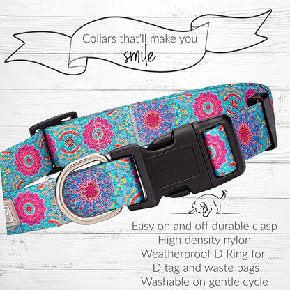 Lucky Love Dog, Boho Chic Matching Dog Collar and Leash Set, Vivid Pink and Turquoise Collar and Leash for Dogs, Soft, Adjustable, Safe for Training and Walking - (Large, Clara Combo)