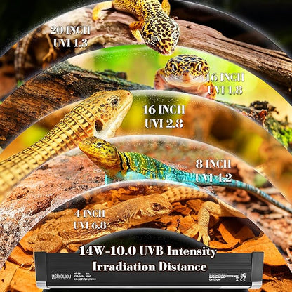 NEPTONION T5 Reptile UVB Light 22.7 Inches Fixture with UVB 10.0 Bulb High Output Hood for Terrariums, Basking Reptiles, Lizards, Chameleons, Iguanas, Bearded Dragons, 14W