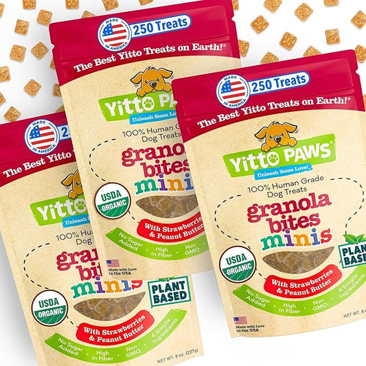 Mini Organic Dog Training Treats – Crunchy, Low Calorie Dog Biscuits – Strawberry & Peanut Butter – Vegan, Human-Grade, No Sugar Added, Made in USA for Small Dogs & Puppies, 3-Pack (24 oz)