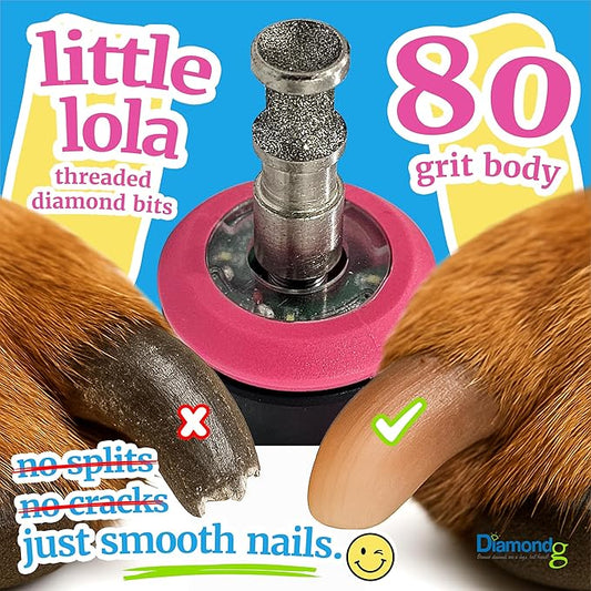 Diamondg Dog Nail Grinder Bit, 1 Pack - Compatible with Dremel, Diamond Bit for Pet Nails with 80 Grit Body & 120 Grit Polishing Bowl - Ideal for Small Dogs Under 30lbs., Enhanced Little Lola