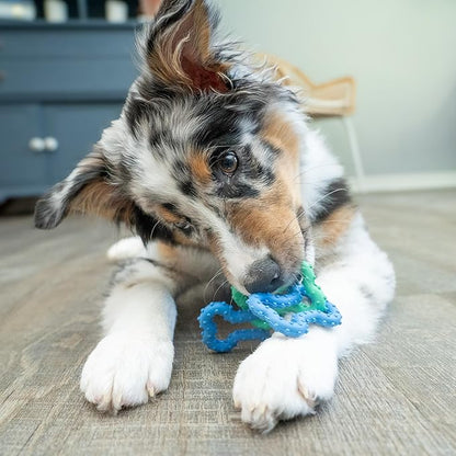 Outward Hound Bone Tugz Tug-of-War Dog Chew Toy, Blue